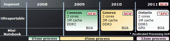 AMD neo Conesus 